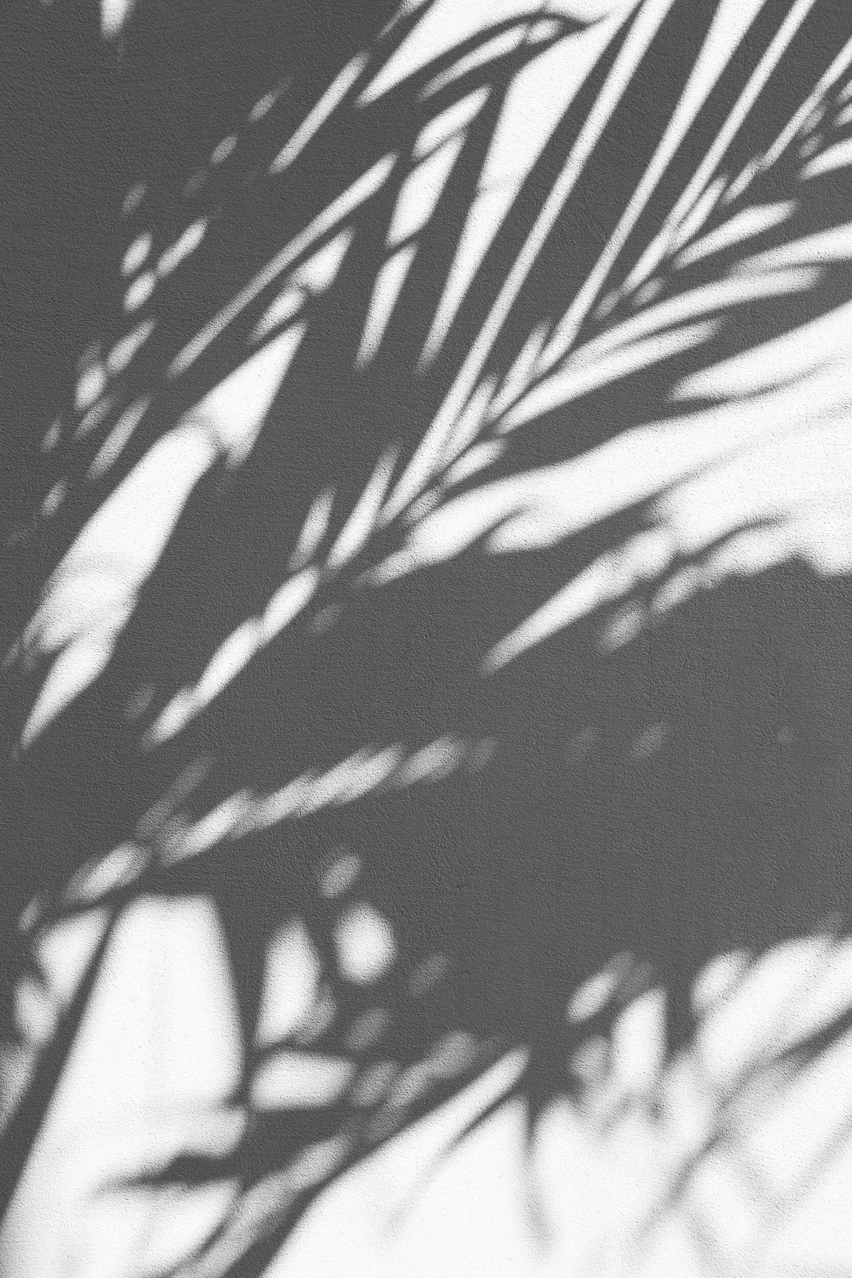 A traveler's still life from a Chichi: Travel shoot